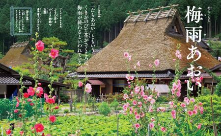 絵本 日本のことばずかん セット 絵本