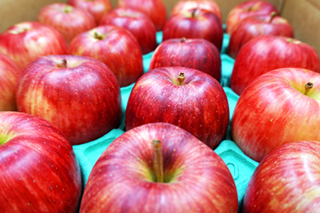 【2024年9月～10月発送分先行受付】山形のりんご（つがる）約5kg_H074(R6)