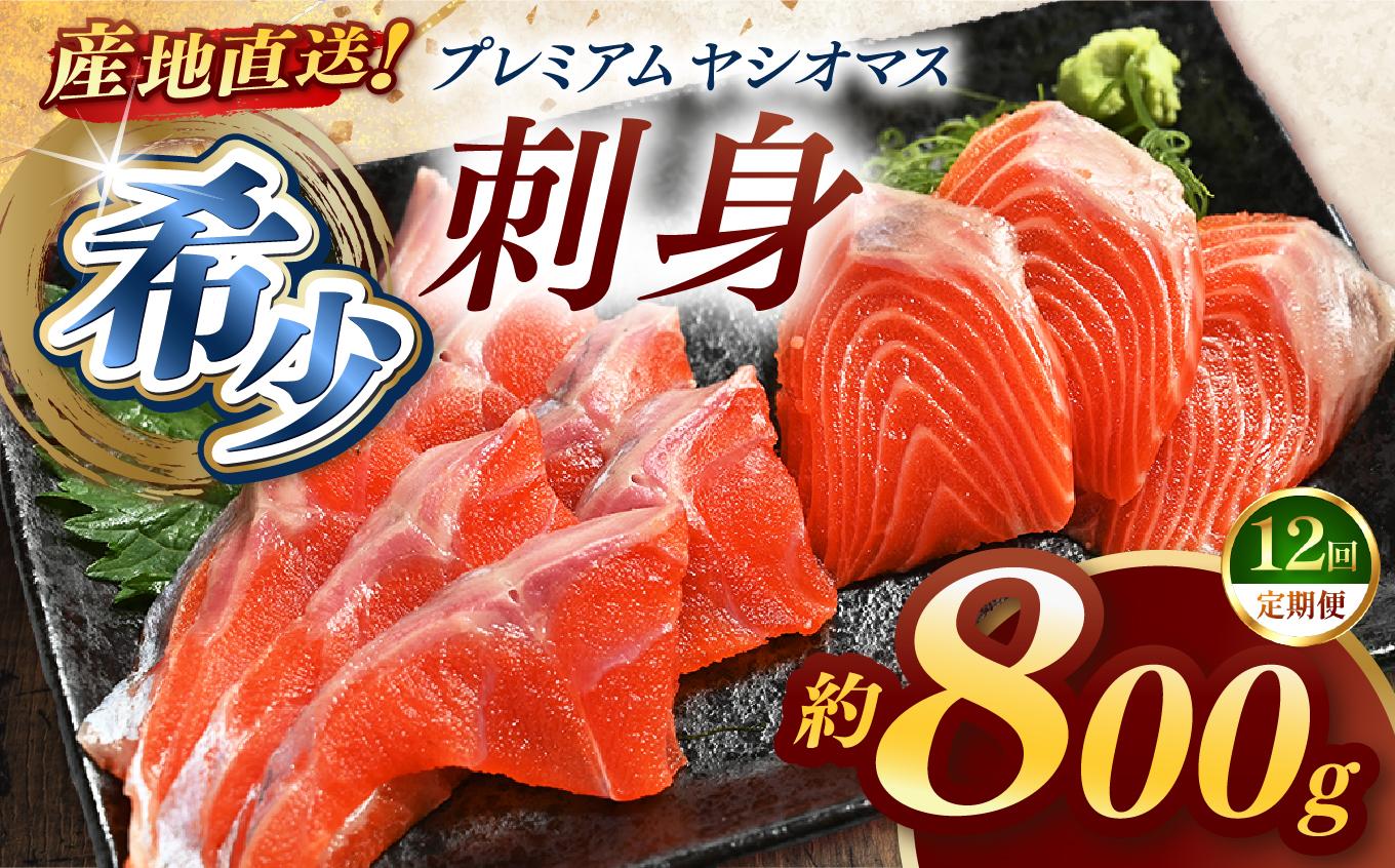 【定期便12回】産地直送栃木県のブランド魚「プレミアムヤシオマス」の刺身 800g (200g×4パック)  [ 冷凍便 ] | 魚 ます 養殖 産地直送 栃木県 (毎月お届け）