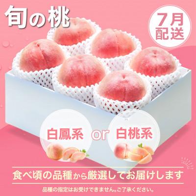 ふるさと納税 笛吹市 【発送月固定定期便】山梨 人気 フルーツ 桃 黒ぶどう シャインマスカット全3回 |  | 01