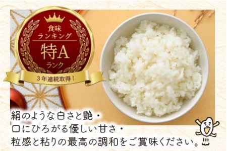 【令和7年産】 福井県のブランド米 いちほまれ 無洗米 4kg（2kg × 2袋） 無洗米 人気 品種 ブランド米 特A  [A-6174] 