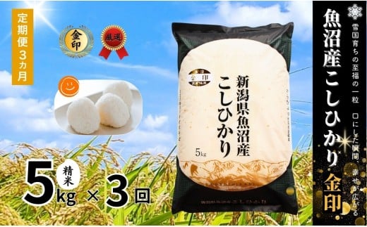 【 定期便 3ヶ月 】 高食味米 5kg × 3回 令和7年産 新米 魚沼産 コシヒカリ 金印 ( 一等米の中から厳選 ) | 白米 精米 米 こめ コメ お米 おこめ ブランド米 新潟県 津南町