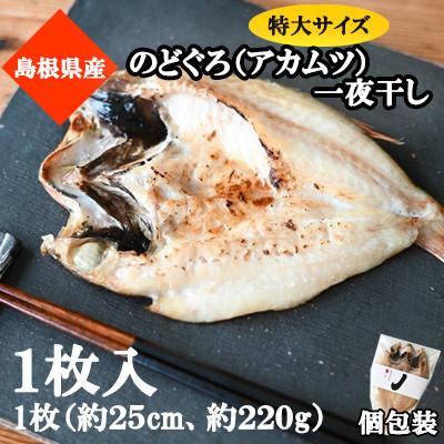 ふるさと納税 浜田市 山陰浜田極味ののどぐろ一夜干し(220〜250g)1枚