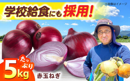 赤玉ねぎ 5kg （5月下旬から6月頃発送予定） 赤玉ねぎ 赤玉ねぎ 赤玉ねぎ 赤玉ねぎ 赤玉ねぎ 赤玉ねぎ