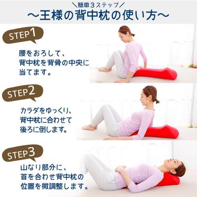 ふるさと納税 八峰町 王様の背中枕(レッド)|16_mkr-19c101 |  | 03