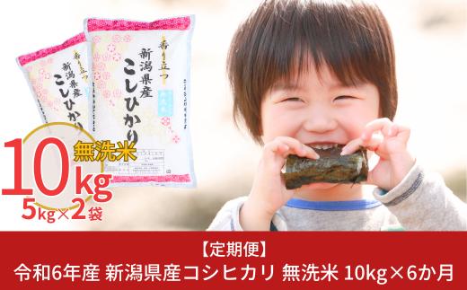 [定期便10kg×6か月] 令和6年産 無洗米 新潟県産コシヒカリ 計60kg こしひかり 6か月連続でお届け [株式会社白熊]【081S003】