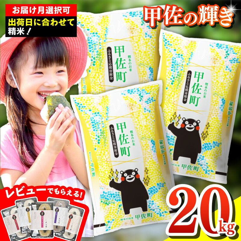『甲佐の輝き』精米20kg（5kg袋×4袋）【配送月選択可！】／出荷日に合わせて精米 ／国産 ブレンド米 白米 訳あり 規格外 送料無料 マイスター 複数原料米 国内産 熊本産 熊本県産 【価格改定】ZB