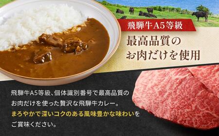 飛騨牛A5等級カレー（2食）＆ 飛騨旨豚カリー（バラ1食・もも1食）食べ比べセット | 牛カレー 豚カレー 飛騨牛 A5 飛騨旨豚 カレー ビーフ ポーク 豚 牛 ご当地カレー 飛騨高山 (有)オリジ