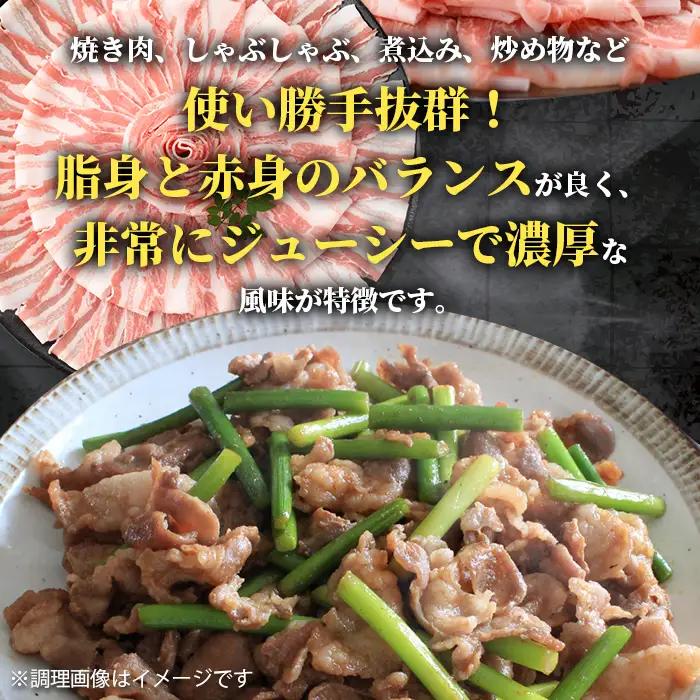 鹿児島県産 黒豚 バラ スライス 計1.2kg 600g×2パック 冷凍 【スターゼン】 i998