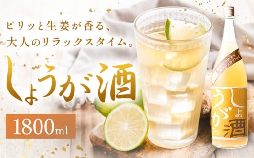 酒 しょうが酒 生姜 お酒 1.8L 酒のねごろっく《2025年11月上旬-4月末頃に出荷予定(土日祝除く)》和歌山県 岩出市 お酒 さけ アルコール しょうが 日本酒 お取り寄せ
