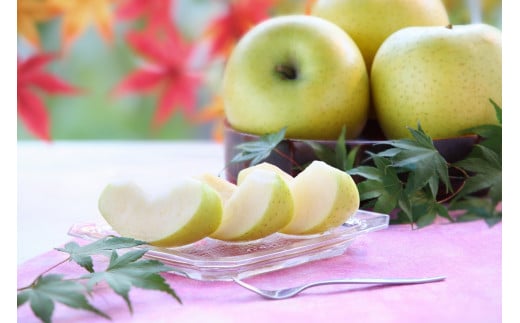 爽やかな風味！【南信州産】シナノゴールド 約5kg 10～18玉 2026年10月下旬より発送 長野県 信州 高森町 産地直送 果物 くだもの 旬のりんご りんご リンゴ りんご3兄弟 JAみなみ信州