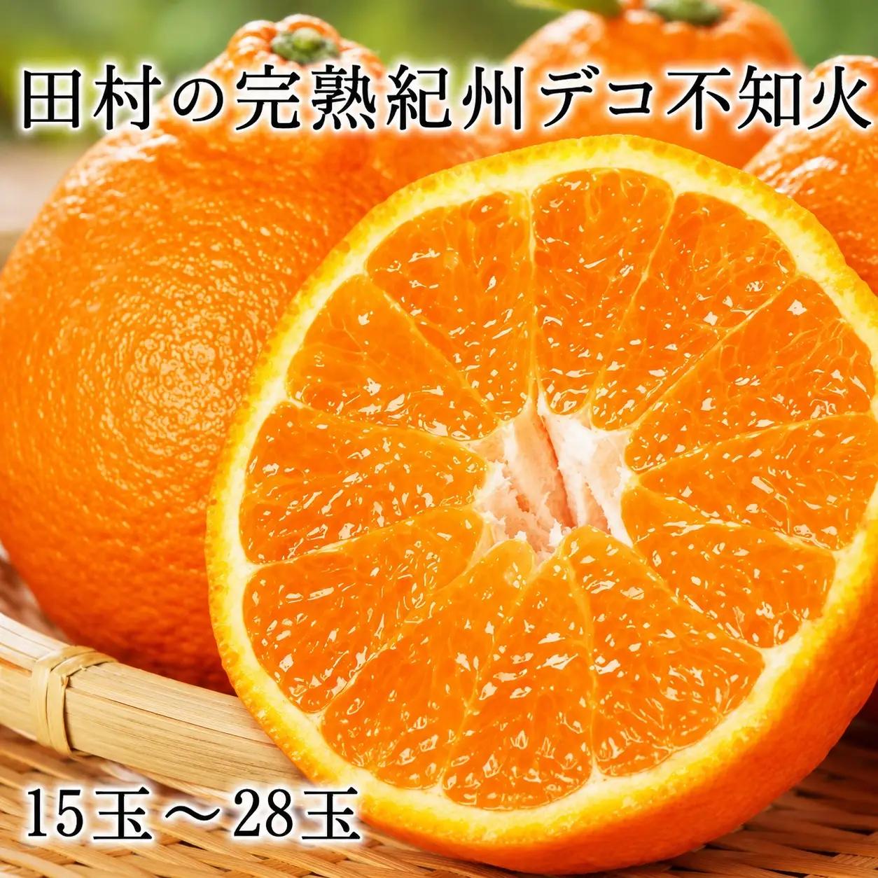 高級ブランド田村の完熟紀州デコ(不知火)　※2027年2月下旬頃〜3月中旬頃に順次発送予定(お届け日指定不可)/ みかん 果物 フルーツ 不知火 しらぬい デコポン 【uot731】