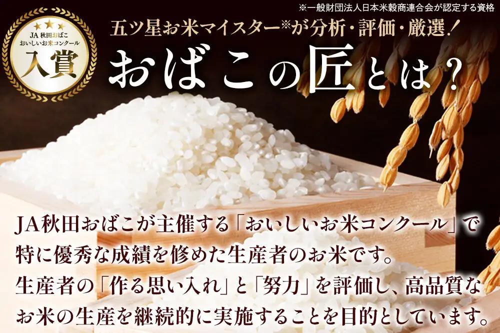 令和7年産 おばこの匠 秋田県産あきたこまち 10kg（白米）5kg袋 秋田こまち お米