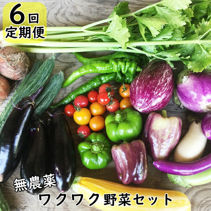 【ふるさと納税】【定期便 6回】 ひばり農園の無農薬ワクワク 野菜セット 《 予約受付 6月より発送開始》 ふるさと納税 野菜 定期便