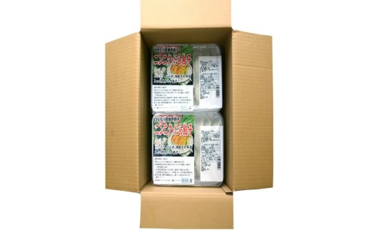 ゆきむら壱番亭のニンニクにら餃子3パック(48個入り) ※離島への配送不可