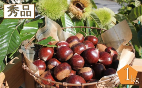 ＜2026年10月中旬以降発送＞ 夢甘栗 秀品 高級生栗 約1kg 地栗 秋の味覚 和栗