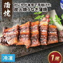 【ふるさと納税】【冷凍】成田屋 炭火焼うなぎ蒲焼 1尾 / 鰻 ウナギ 〆 締め じめ 逸品 こだわり 良質 職人 成前 かに 褒美 夏 贈り物 贈答 ギフト プレゼント 冷凍配送 国産 送料無料 [A-028004]