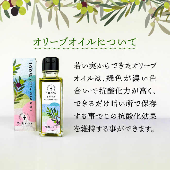 【3回定期便】 原城 オリーブ エクストラ・ヴァージンオイル  100ml 3本 / オリーブオイル オイル 油 調味料 / 南島原市 / ミナサポ [SCW057]_イメージ3