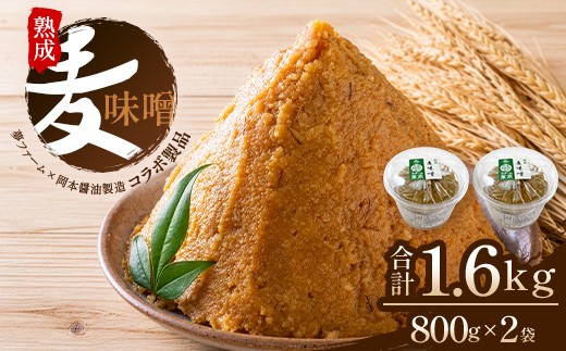 熟成味噌 800g × 2パック 合計1.6kg | 熟成みそ 麦みそ 味噌 ミソ 麦味噌 調味料