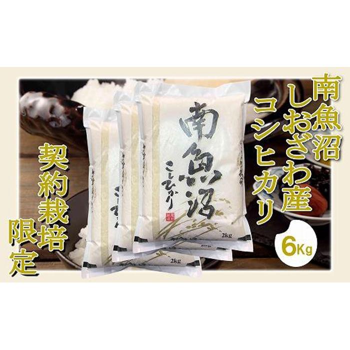 【ふるさと納税】【令和7年産】【精米6Kg】契約栽培限定 南魚沼しおざわ産コシヒカリ | お米 こめ 白米 コシヒカリ 食品 人気 おすすめ 送料無料 魚沼 南魚沼 南魚沼市 新潟県産 新潟県