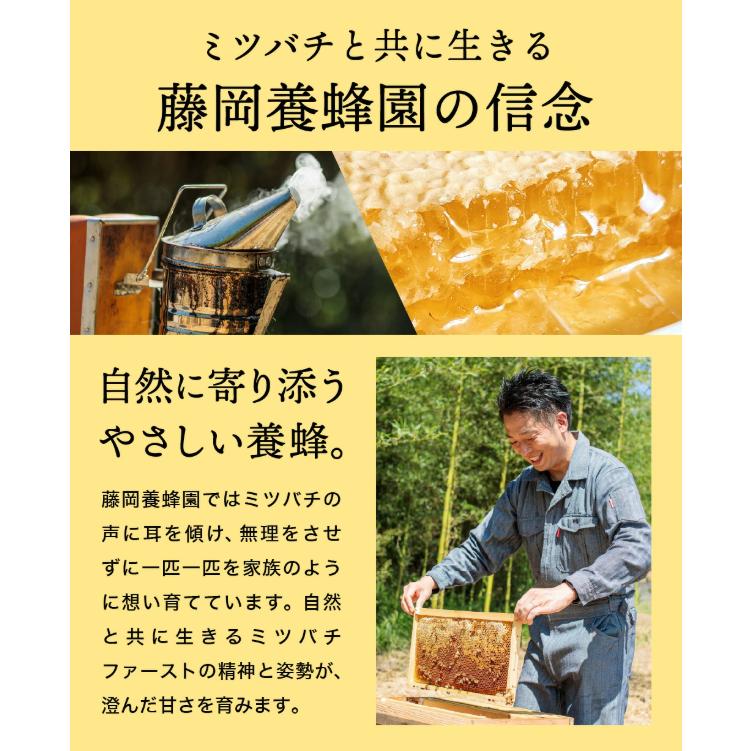 【2025年採蜜予約受付 2025年8月から順次発送】 完熟はちみつ　300g（藤岡養蜂園） 　008FY01N. ／ 完熟 熟成 天然 ハチミツ 養蜂 蜂蜜 ミツバチ チューブ
