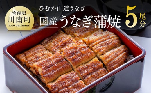 【名店の味！宮崎県産鰻】 ひむか山道うなぎ蒲焼５尾分（650ｇ以上） 【 国産 鰻 ウナギ うなぎ かば焼き 蒲焼 惣菜 川南町 】