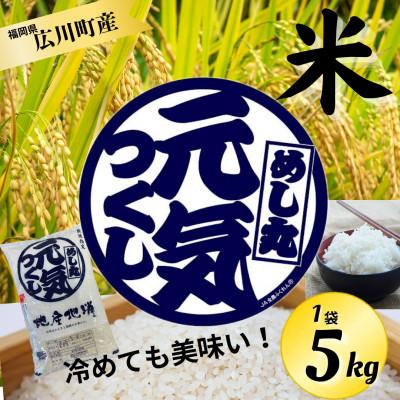 ふるさと納税 広川町 【福岡県産】 元気つくし(精米) 5kg(広川町)