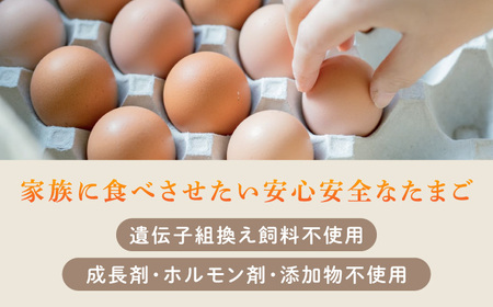 【12ヶ月定期便】平飼い 山もりたまご 40個 安心安全 おいしさに感動 たまご 卵 高級卵 平飼い 安心安全 飼料にこだわり 成長剤 ホルモン剤 添加物不使用 12回定期便