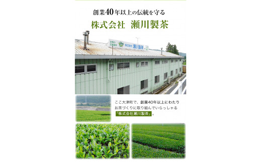 玉緑茶(たまりょくちゃ)「一番茶」 100g×5本  大津町産  瀬川製茶《60日以内に出荷予定(土日祝除く)》---so_sgwtam_60d_20_12000_500g---