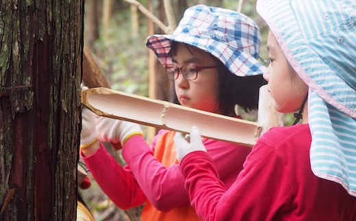 [きらめ樹] 皮むき間伐体験(お一人分)