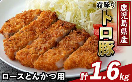 K-382-C 鹿児島県産霜降りトロ豚 ロースとんかつ用(計1.6kg)【ふるさと産直バザール】霧島市 肩ロース 豚カツ トンカツ 豚肉 国産 鹿児島県産 肉 精肉 小分け