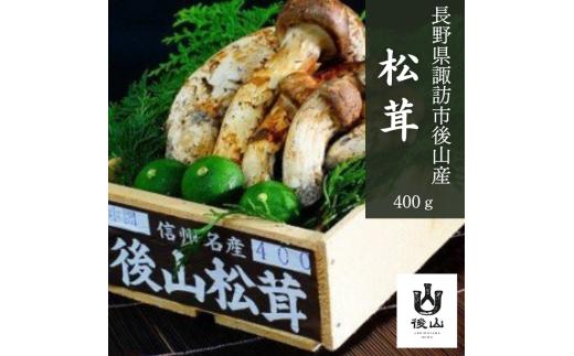 松茸 約400g 諏訪市後山産 2026年9月下旬以降に配送/ Suwa後山ブランド化プロジェクト 先行予約 数量限定 オンライン決済限定 選べる グラム 松茸 まつたけ マツタケ 信州 長野県 諏訪市 諏訪 [67-01]
