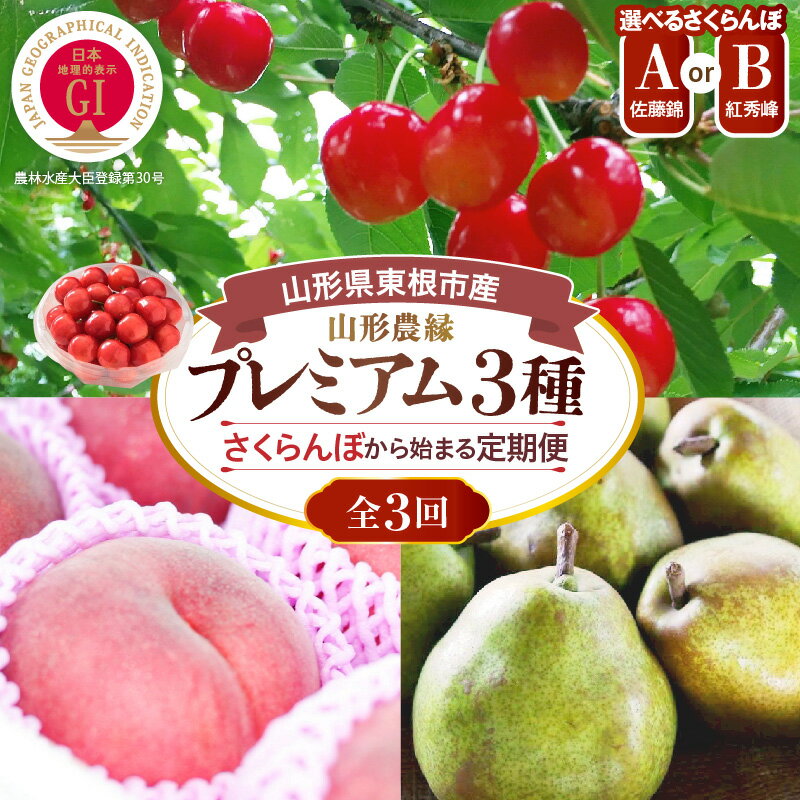 【ふるさと納税】［定期便 3回］ 山形産 フルーツ定期便 農縁 プレミアム3種 ( 選べる A 佐藤錦 B 紅秀峰 )| さくらんぼ 桃 白桃 西洋梨 洋梨 ラフランス フルーツ 果物 くだもの 季節のフルーツ 旬の果物 人気 おすすめ 送料無料 山形県 東根市