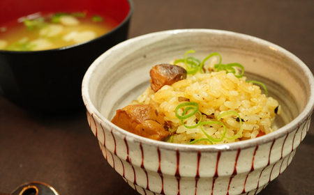 高知県宿毛産の鰤入り濃厚魚介味噌バターカレー＆鰤照焼き釜めし（2個セット）ご当地レトルトカレー ご当地釜めしの素