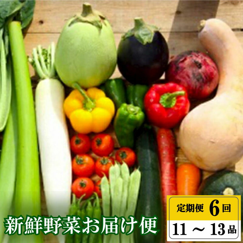 【ふるさと納税】 【早期予約】 全 6回 6ヶ月 半年 プレミアム 定期便 季節 旬の 野菜 詰め合わせ セット 年末年始限定 早期予約 期間限定 高知県 須崎市人気 ランキング 食品 お楽しみ バラエティ おすすめ