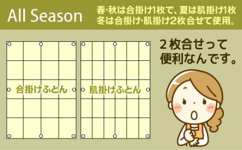 【ダブル】洗濯機で洗える2枚合わせ羽毛ふとん｜合い掛け　肌掛け　オールシーズン【新津】