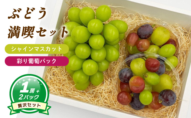 
                  シャインマスカット 約550g ( 大1房 ) + 彩り葡萄パック 約270g ( 2パック )【2026年8月中旬頃から順次発送】  | ぶどう シャインマスカット 皮ごと 種なし 大粒 数量限定 愛媛県産 松山市 
                