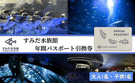チケット すみだ水族館 年間パスポート 大1 子1 チケット