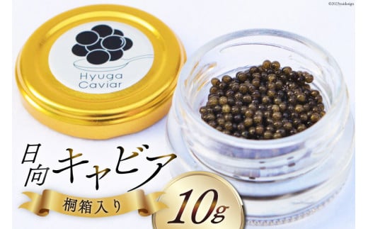 【お歳暮】 キャビア 日向キャビア (Hyuga Caviar) 10g 桐箱入り [ウィズ・クリエイティブ 宮崎県 日向市 452061080] 冷凍 宮崎 国産 チョウザメ フレッシュ 瓶