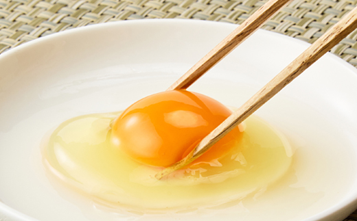 大分生まれのAW飼い有精卵「豊の米卵」10kg(白卵)【配送不可地域：離島】