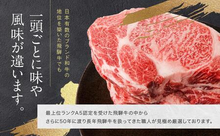 訳あり A5等級 飛騨牛 焼肉 切り落とし1200g |牛肉 黒毛和牛 BBQ 肉料理 ブランド牛 不揃い 株式会社岩ト屋 HF041【飛騨牛 牛肉 和牛 飛騨牛 牛肉 和牛 飛騨牛 牛肉 和牛 国産