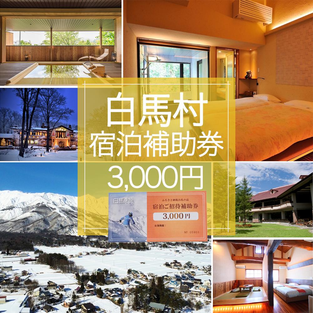 長野県白馬村 宿泊補助券3,000円分(3,000円分×1枚)宿泊補助券 チケット 補助券 ギフト券 贈答 プレゼント 民宿 旅館 ペンション ホテル コンドミニアム 宿泊施設 便利 おすすめ 人気 送料無料【K0130233】