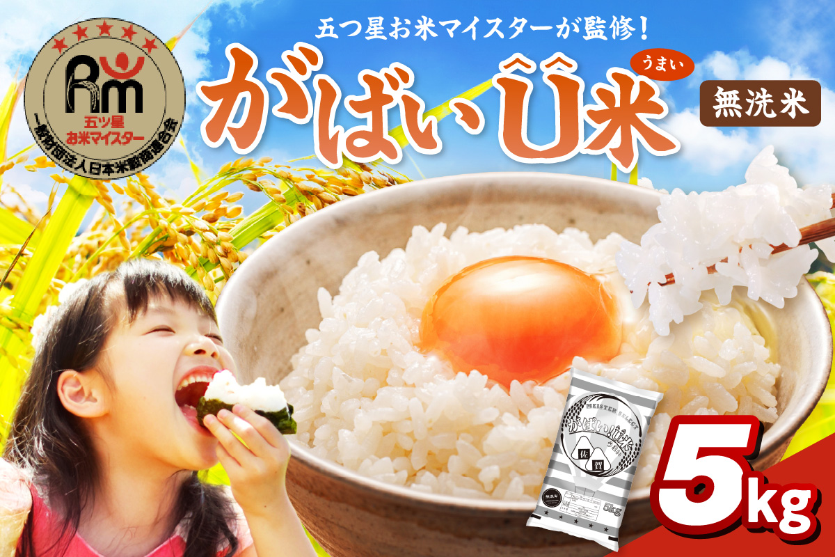 伊万里産 がばいＵ米(うまい) ブレンド米 【無洗米】5kg お米マイスター厳選 086-B949