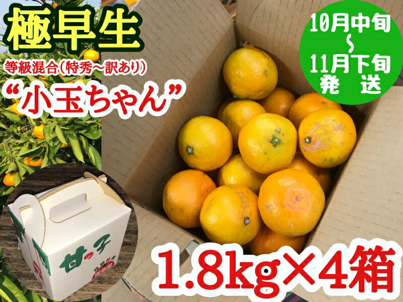 【ふるさと納税】【極早生・有田みかん】小玉ちゃん 約7.2kg (約1.8kg×4箱) (等級混合・2S～4Sサイズ混合)【ミカン 蜜柑 柑橘 温州みかん 和歌山 有田 小粒 小玉】