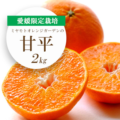 
            ＜2026年2月より順次発送＞愛媛限定栽培柑橘 シャキッと新食感!甘平 2kg＜C25-36＞_ みかん ミカン 柑橘 フルーツ ふるーつ 果物 くだもの 青果 甘平 かんぺい 甘い 濃厚 高糖度 愛媛 希少 産直 産地直送 【1044411】
          