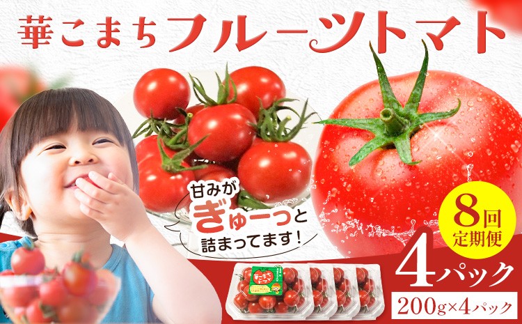 
                  【8回定期便】トマト 華こまち フルーツトマト 200g×4パック ×8回 吉祥庵園芸《11月上旬-6月上旬頃出荷》鹿児島県 さつま町 野菜 トマト お取り寄せ
                