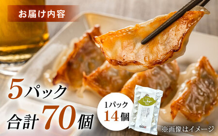 【5パック】餃子屋ヒロの しょうが餃子【餃子屋ヒロ】開成町 餃子 点心 惣菜 冷凍[BDAS006-3]