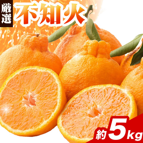 厳選 不知火5kg+250g（傷み補償分）【デコポンと同品種・人気の春みかん】【光センサーで食べ頃出荷】 池田鹿蔵農園@日高町（池田農園株式会社）《2月上旬-3月末頃出荷》和歌山県 日高町【配送不可地域あり】