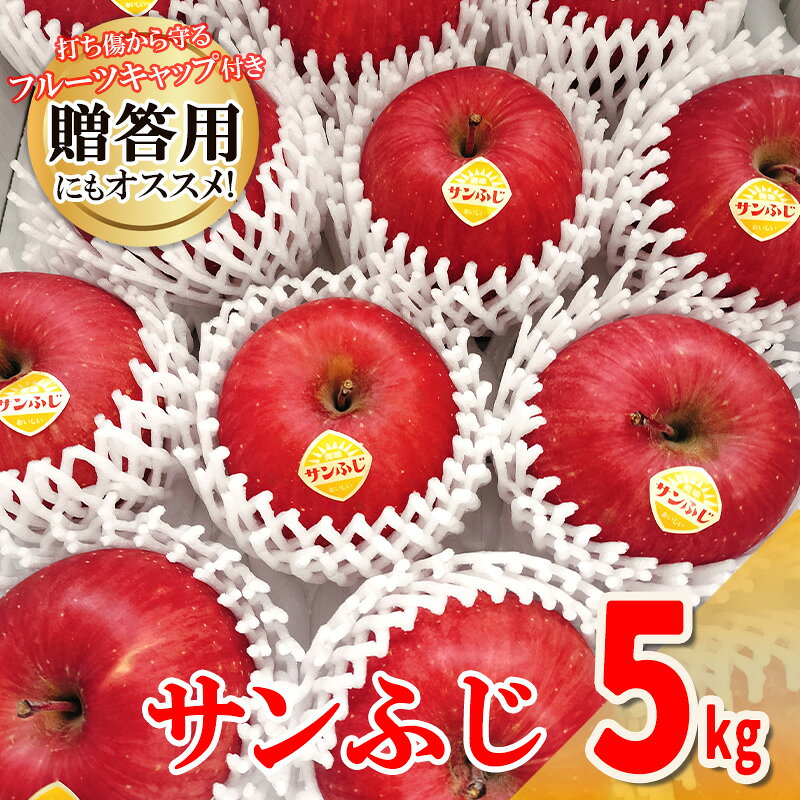 【ふるさと納税】高橋りんご園　『サンふじ』5kg(12～14玉)　フルーツキャップ付き　贈答用にもオススメ！/さんふじ サンフジ サンふじ 送料無料 矢巾町産 りんご 予約 蜜 シャキシャキ 甘い 酸味 贈答 ギフト プレゼント リンゴ 林檎 果物 くだもの フルーツ 岩手県 矢巾町