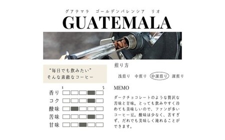 【豆】グアテマラ ゴールデンパレンシア リオ ウォッシュド ( 中深煎り ) 400g （200g×2） コーヒー 珈琲